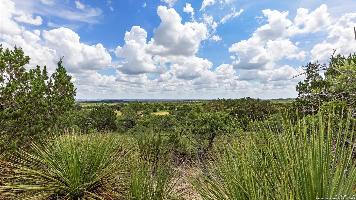 Spring Branch, TX 78070,TBD Elmhurst Dr.