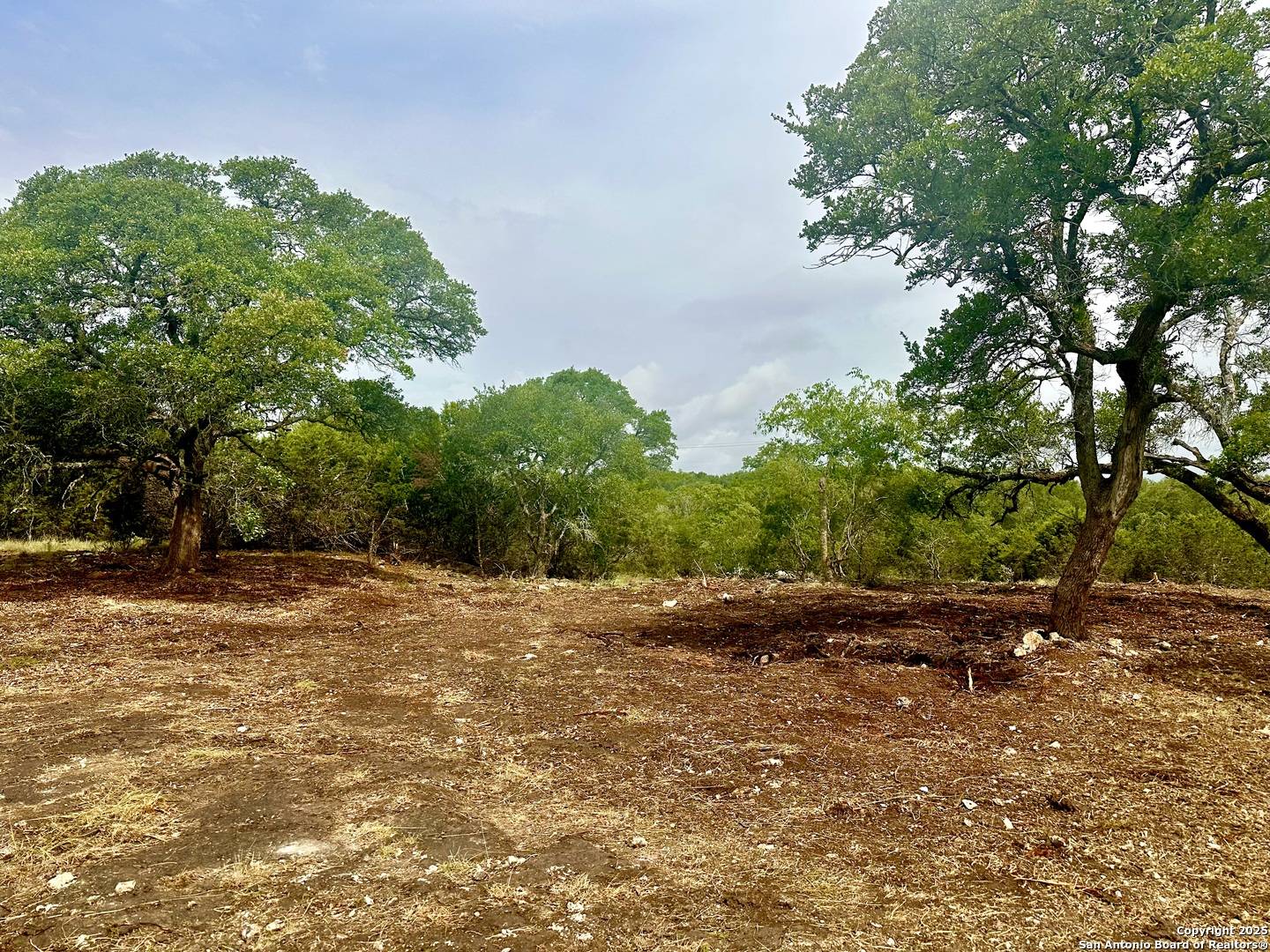 Boerne, TX 78006,LOT 30 TBD Fm 3351