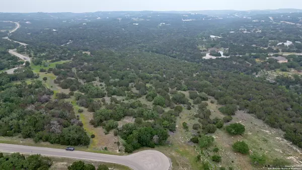 Spring Branch, TX 78070,431 Rosinweed