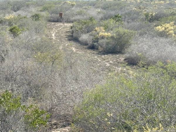 TR102 Frontier A Rd, Freer, TX 78357