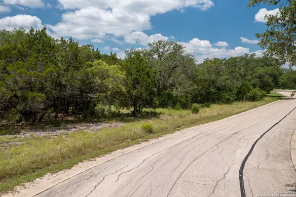 Mico, TX 78056,LOT 387 PR 1742