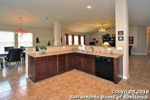 San Antonio, TX 78260-6034,26106 Indian Cliff