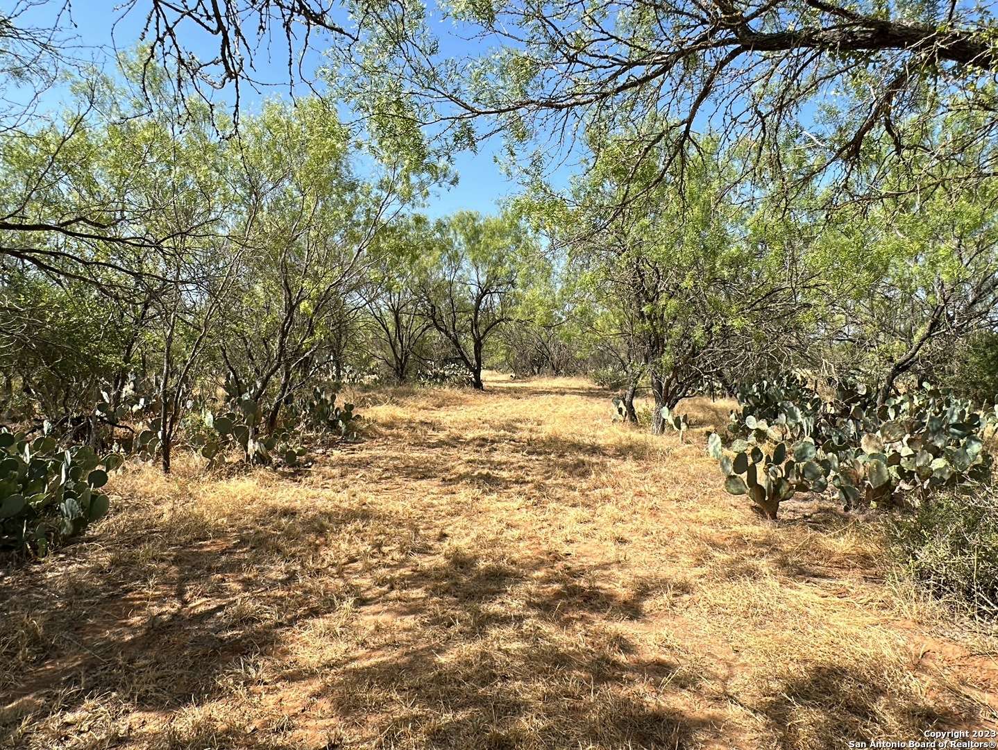 Moore, TX 78057,134 CR 2644