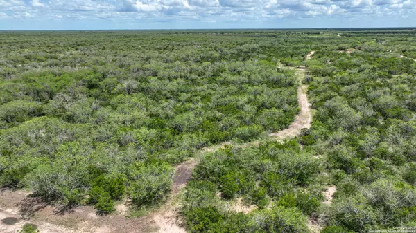 Benavides, TX 78341,8531 CR 211