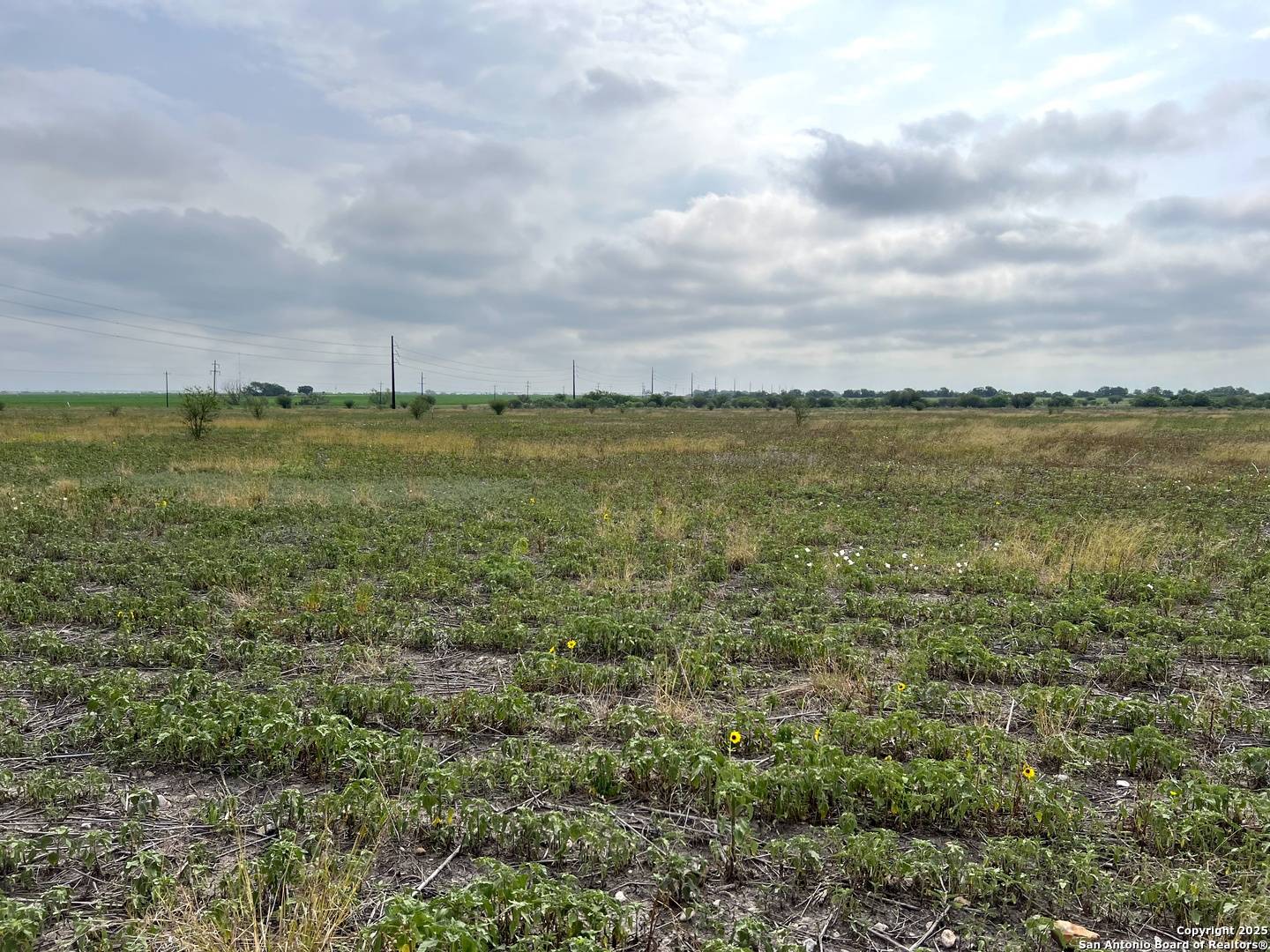 Dhanis, TX 78850,2541 county road 512