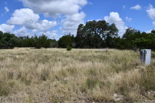 Blanco, TX 78606,107 SILAS PARKER