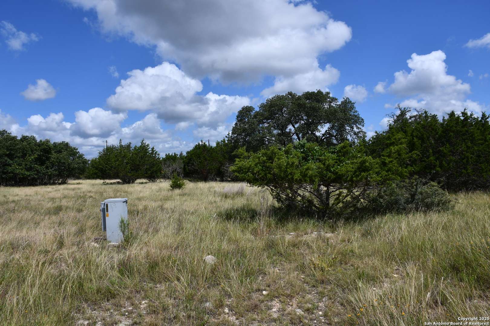 Blanco, TX 78606,107 SILAS PARKER