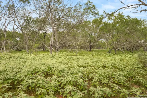 Seguin, TX 78155,11682 Fm 466