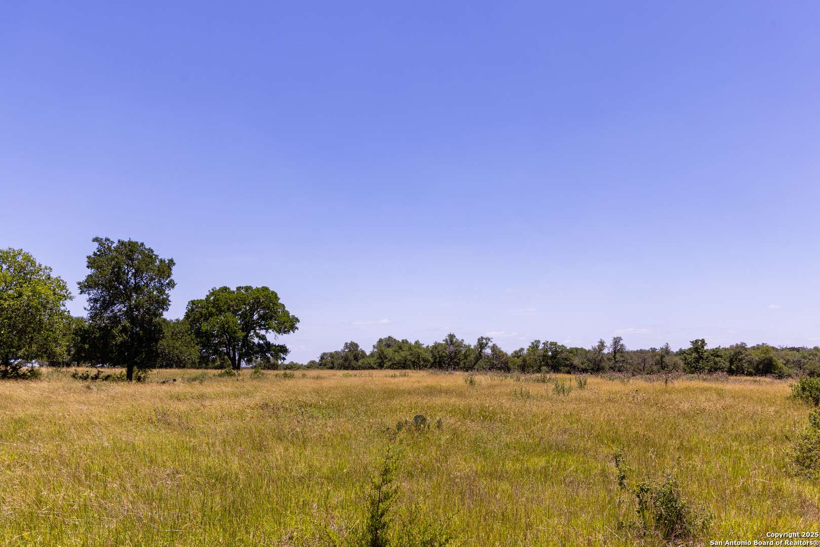 Kerrville, TX 78028,190 Jones