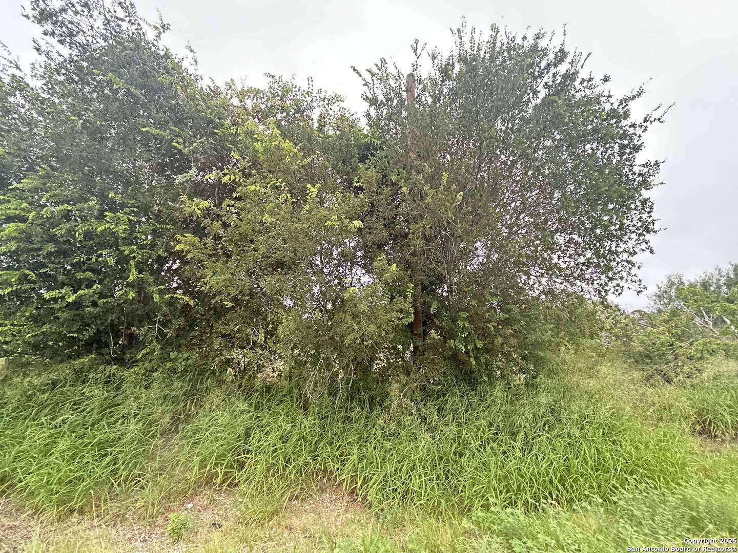 San Antonio, TX 78221,16875 Fm 1937