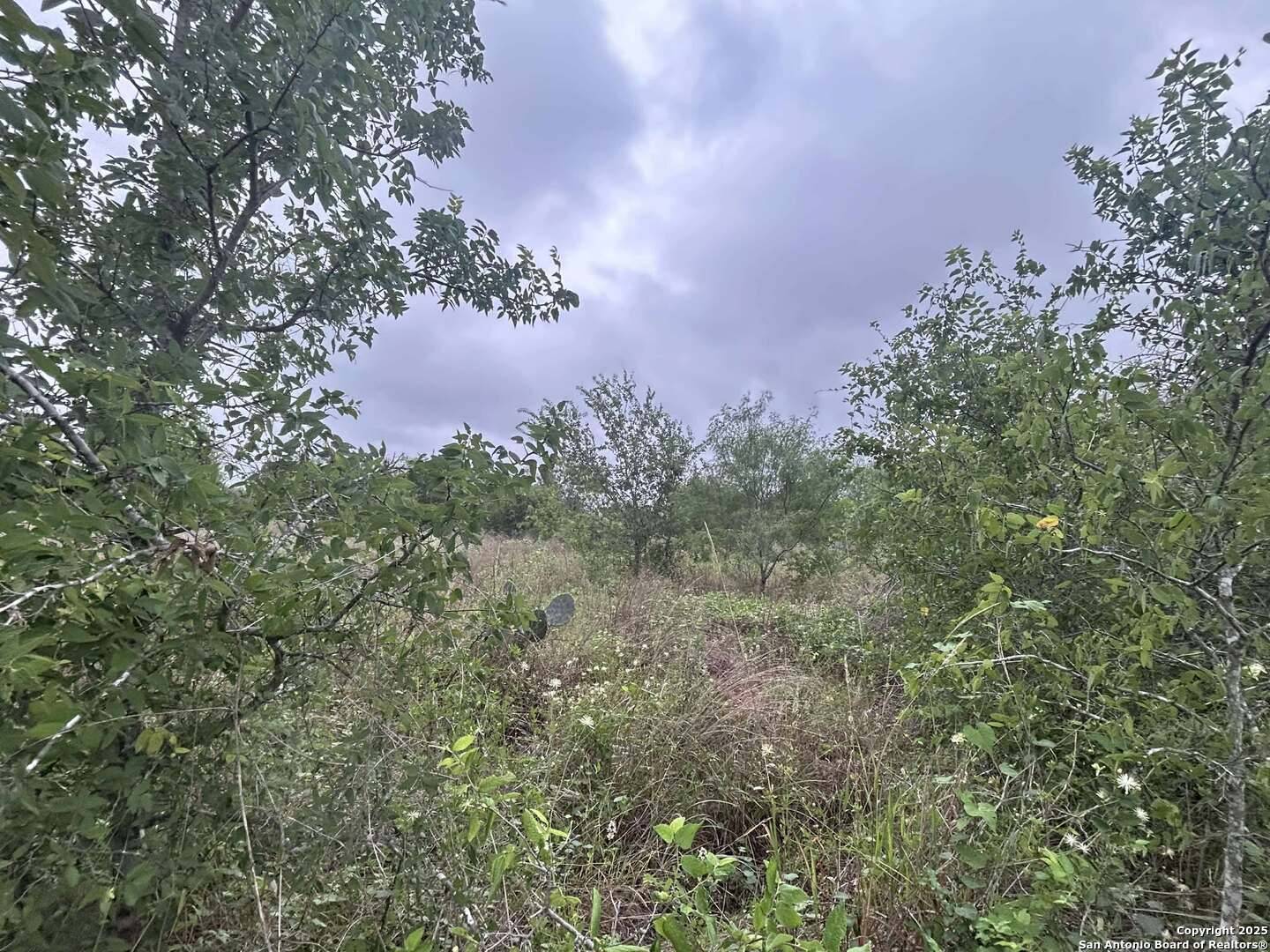 San Antonio, TX 78221,16875 Fm 1937