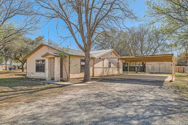 12177 Pearsall Rd, Atascosa, TX 78002