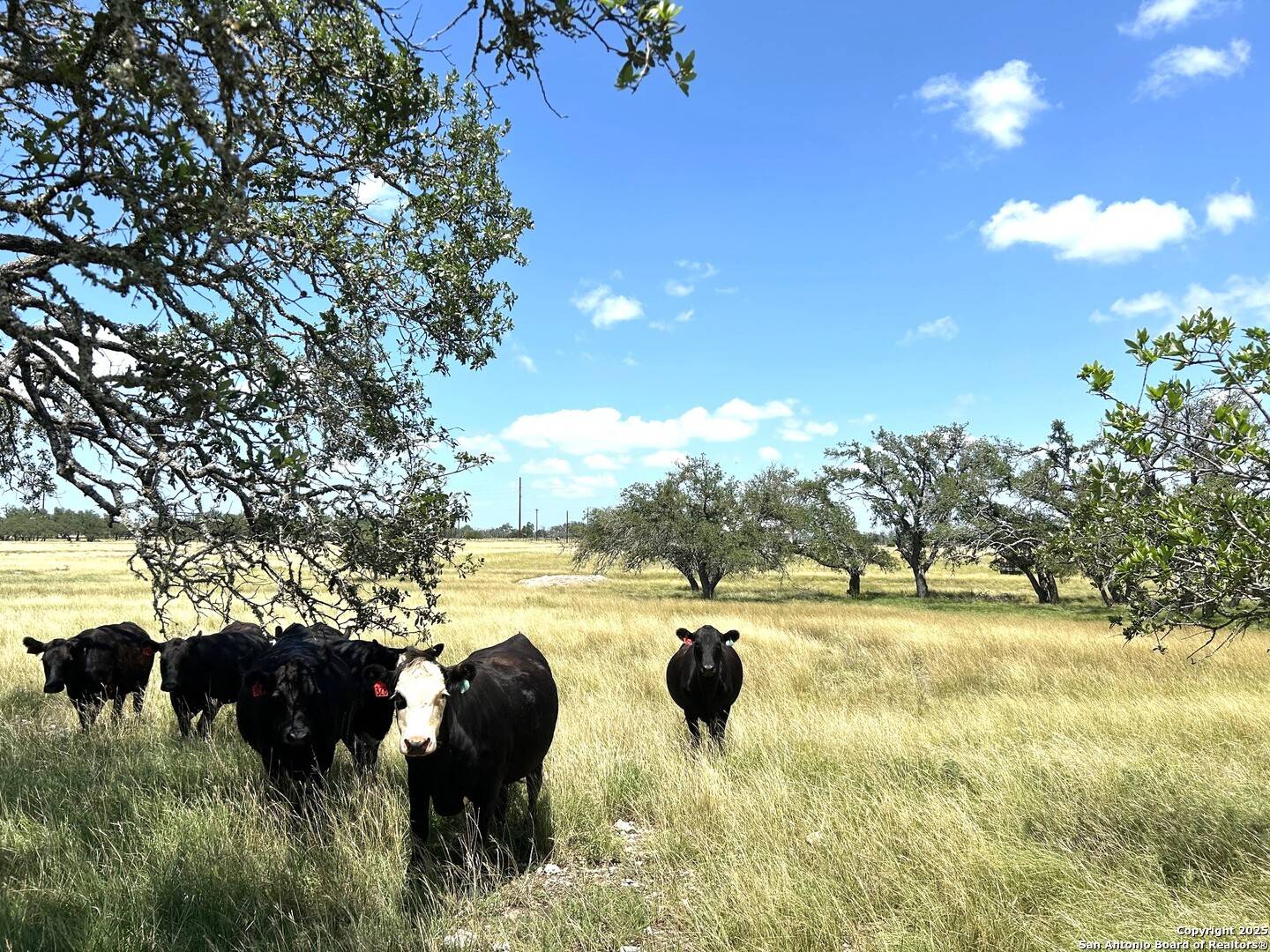 Harper, TX 78631,3240 Ranch Rd. 783