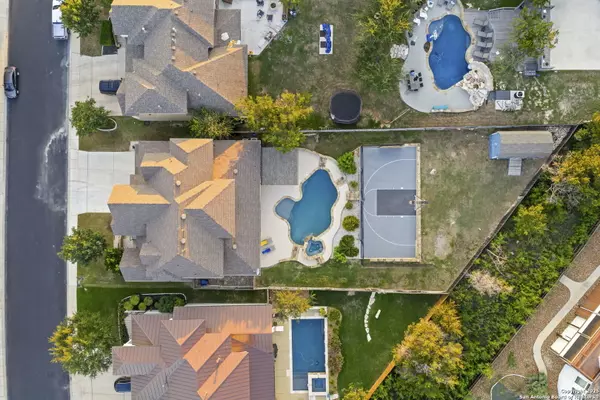 San Antonio, TX 78258,3107 Spider Lily