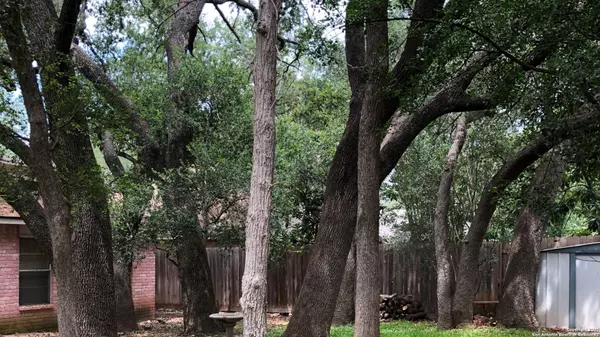 San Antonio, TX 78232,2423 Moss Terr