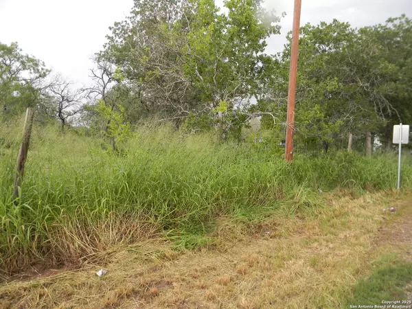 Pleasanton, TX 78064,459 cecilia