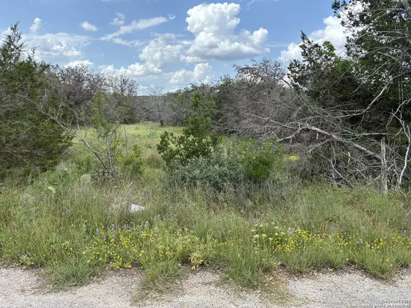 Spring Branch, TX 78070,203 Bluff View