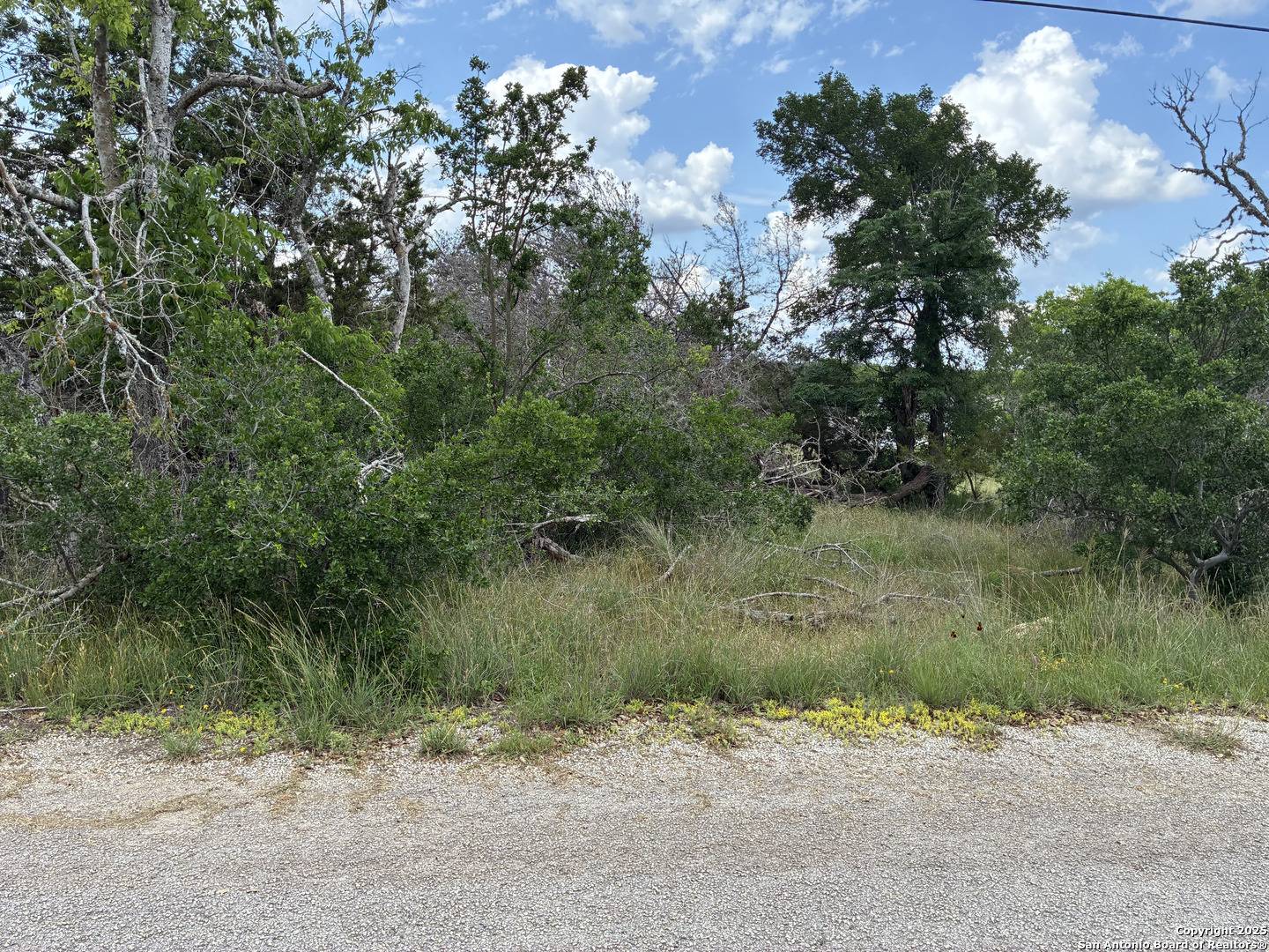 Spring Branch, TX 78070,203 Bluff View