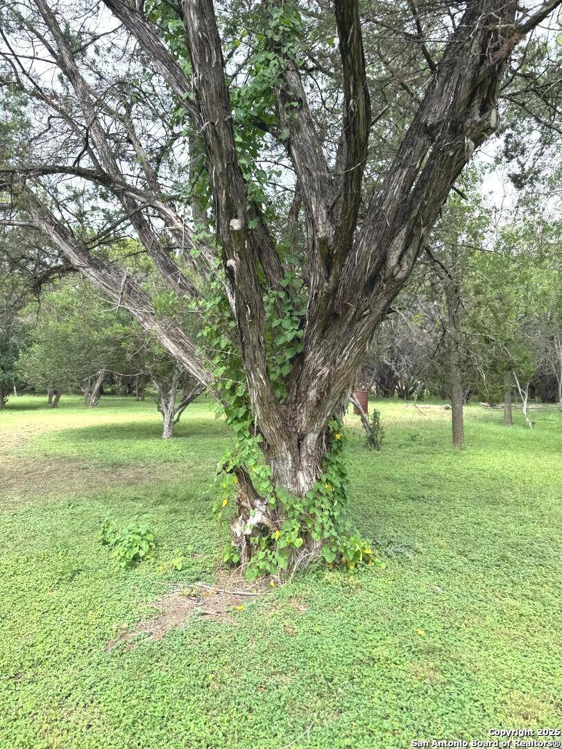Bandera, TX 78003,2445 Broad Oak