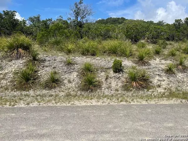 Helotes, TX 78023,280 Geronimo Creek Rd