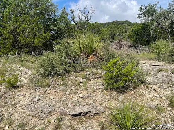 Helotes, TX 78023,280 Geronimo Creek Rd