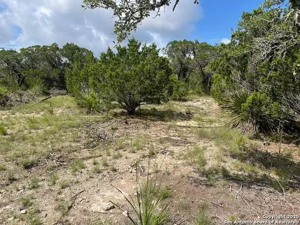 Helotes, TX 78023,280 Geronimo Creek Rd