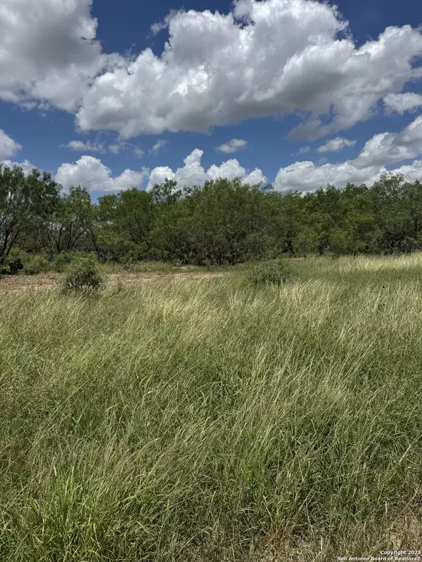 Jourdanton, TX 78064,04 Windmill Ranchettes CR 329