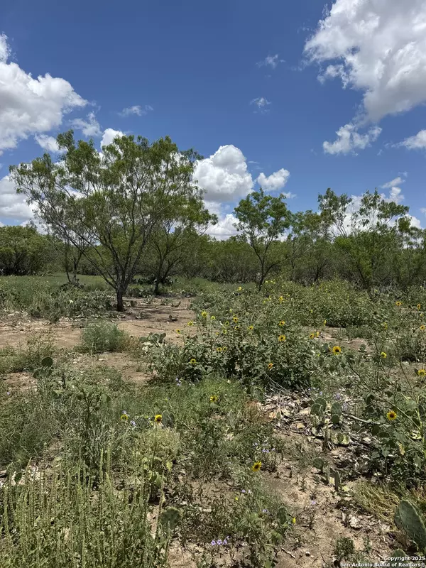 Jourdanton, TX 78064,05 Windmill Ranchettes CR 329