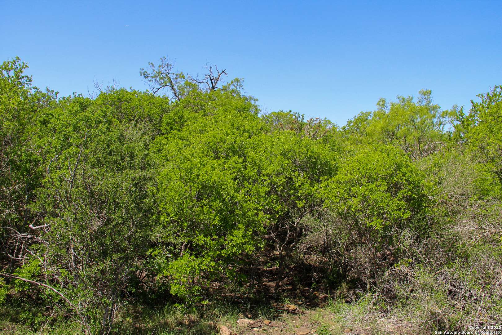 Castroville, TX 78009,0000 FM 1343