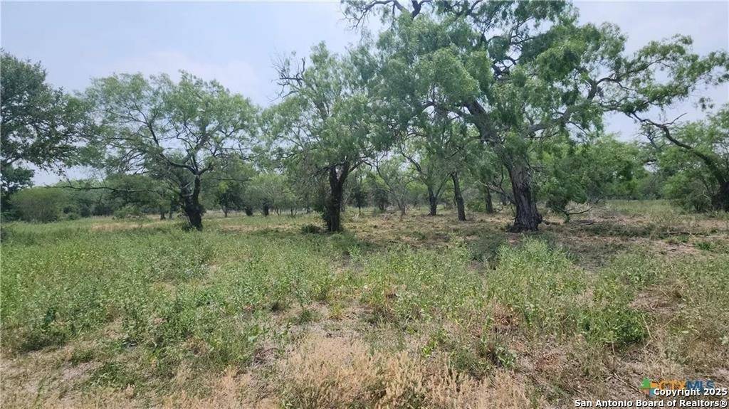 George West, TX 78022,111 Deer Run Cir