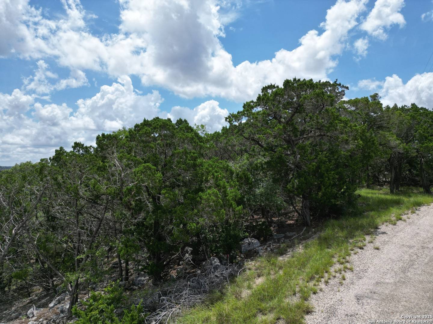 Pipe Creek, TX 78063,2175 goat