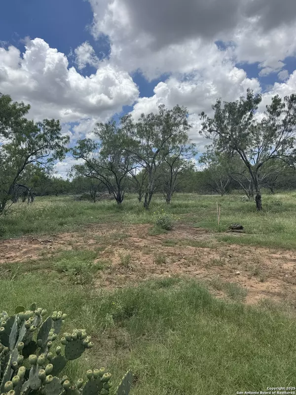 Jourdanton, TX 78064,11 Windmill Ranchettes CR 329