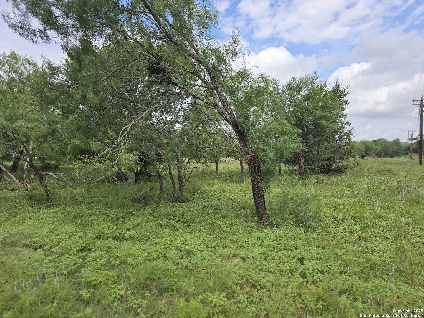 Bandera, TX 78003,22 cypress