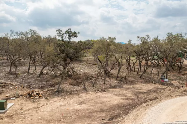 Bulverde, TX 78163,715 Blaze Ridge
