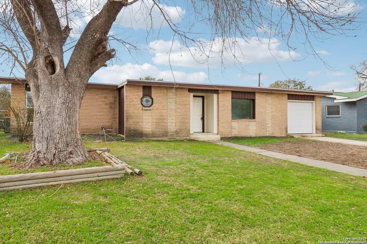 San Antonio, TX 78218,4438 tropical