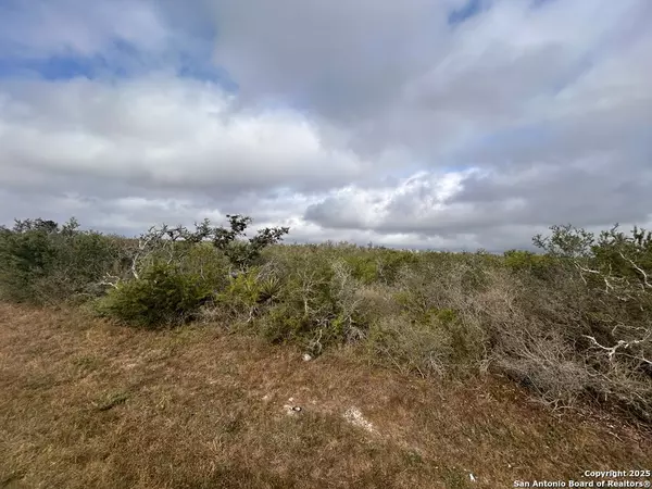 Beeville, TX 78102,TBD Hackberry Dr