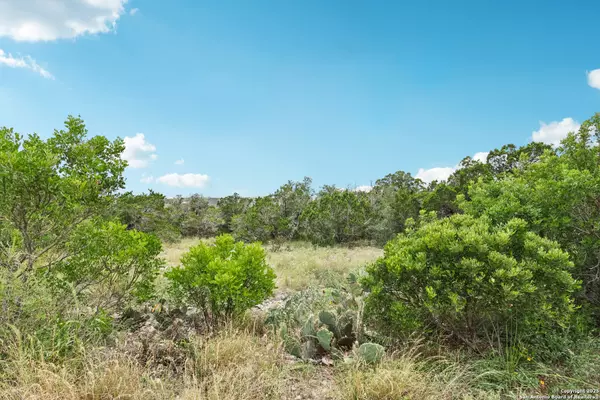 Mico, TX 78056,00 County Road 2753