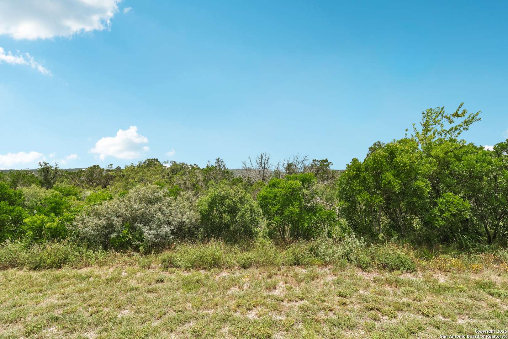 Mico, TX 78056,00 County Road 2753