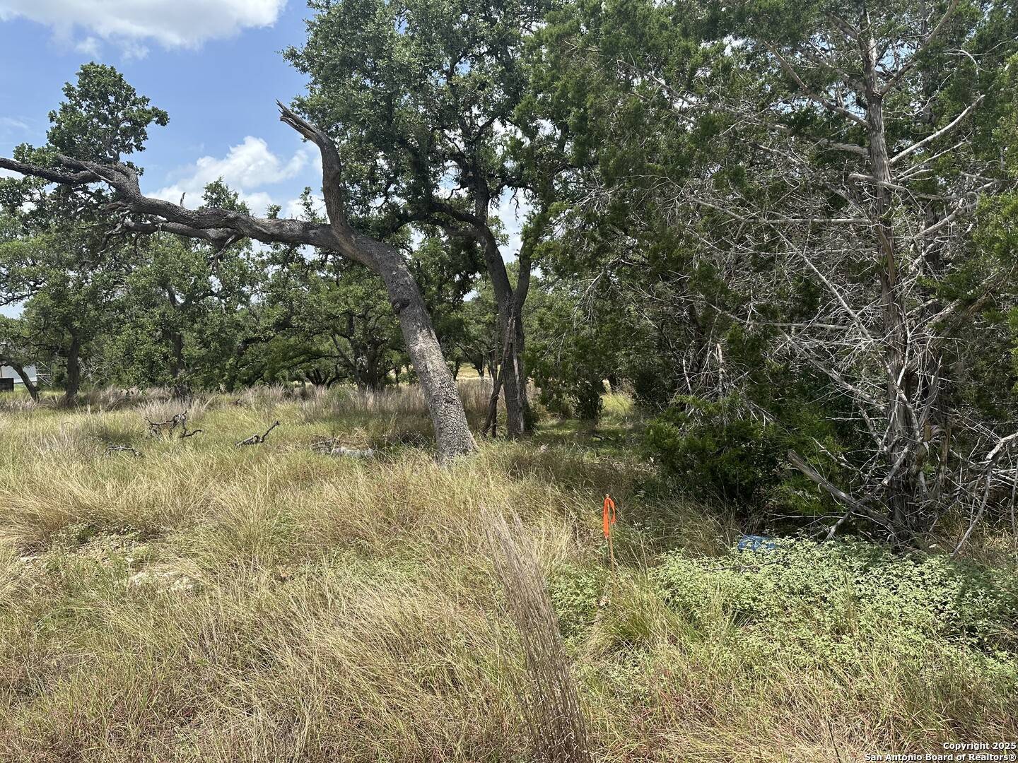 Spring Branch, TX 78070,335 Serenity