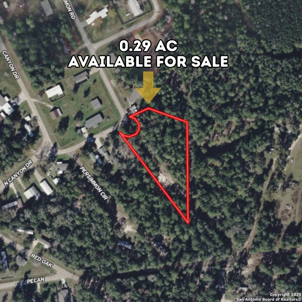 0 Persimmon Rd, Onalaska, TX 77360
