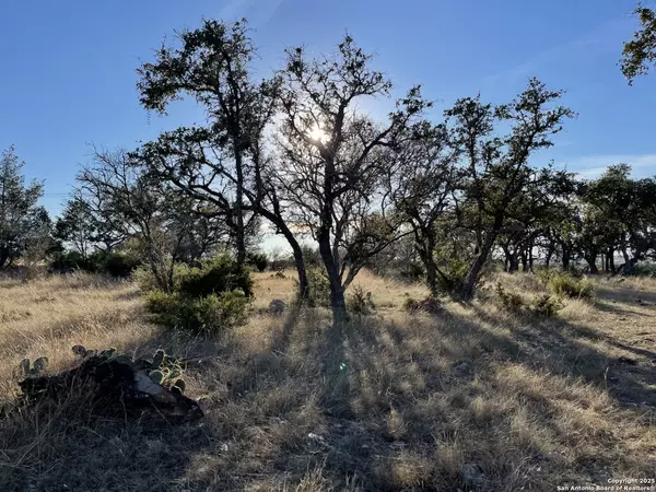 10083 Texas Highway 55, Rocksprings, TX 78880