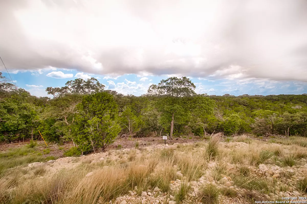 Junction, TX 76849,LOT 42 Seven Hills Drive