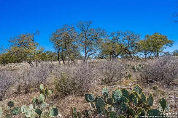 Kerrville, TX 78028,LOT 43 Avila Ridge Dr