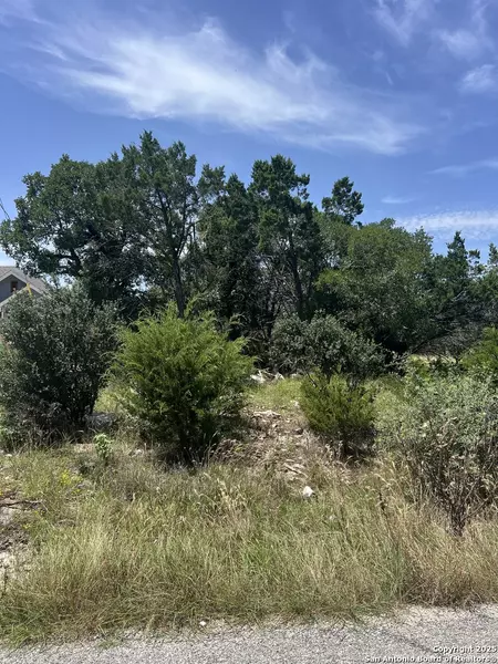 203 Granite, Spring Branch, TX 78070
