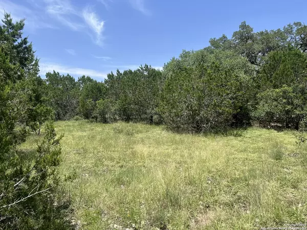 Spring Branch, TX 78070,559 Rio Ridge