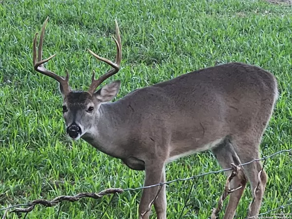 Adkins, TX 78101,205 Whispering Oaks