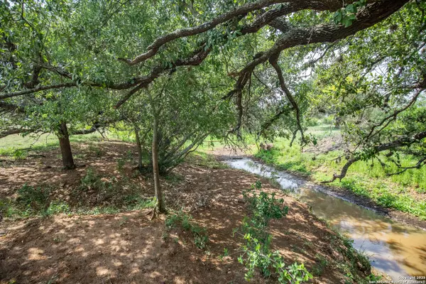 Jourdanton, TX 78026,500 PR Goose Creek Ln