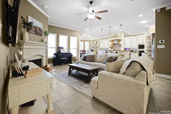 San Antonio, TX 78261,3843 Ox-Eye Daisy