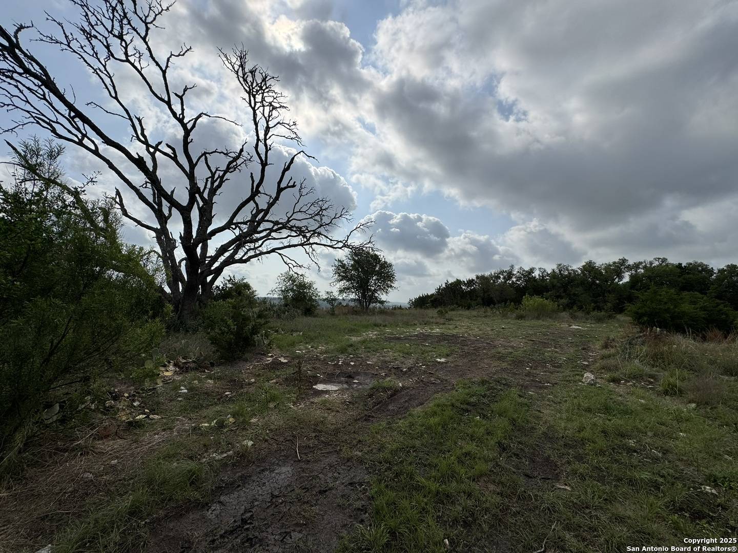 Fredericksburg, TX 78624,1282 Balcones Drive