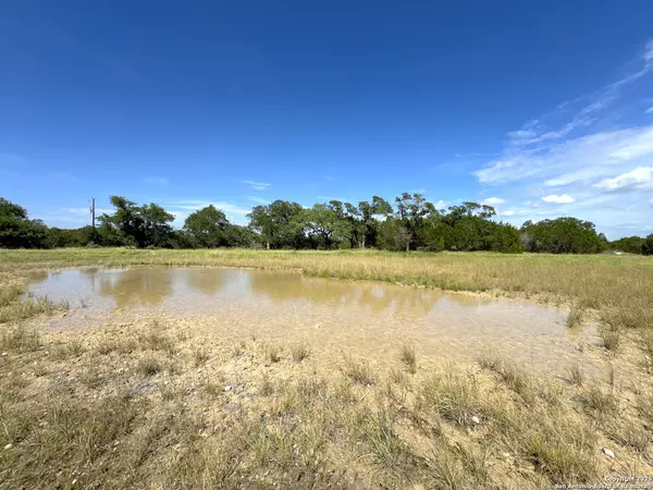 Spring Branch, TX 78070,311 Toucan